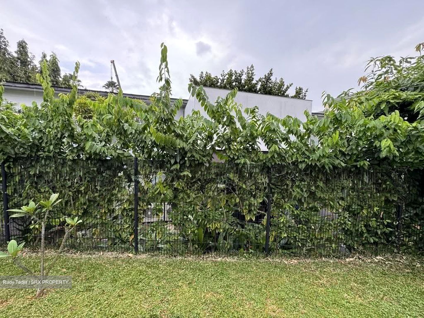 Mcmahon Park (D10), Detached #628455911